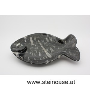 Fossile Steinschale Fisch